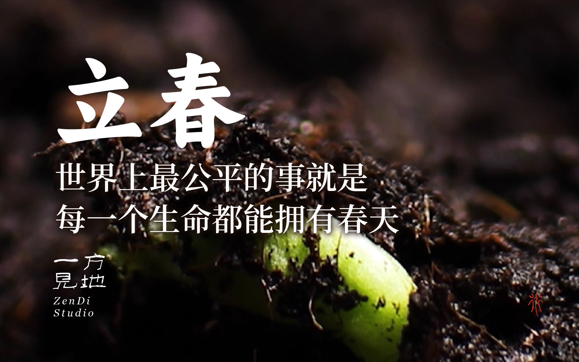 深圳品牌設(shè)計(jì)｜教科書級節(jié)氣文案，圈粉700W